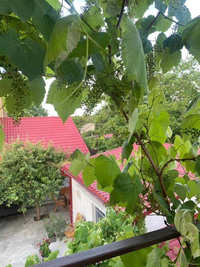 ホテル Casa Mateiana エフォリエ・ノルド エクステリア 写真